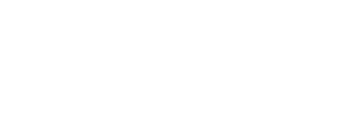 Forest River VanS